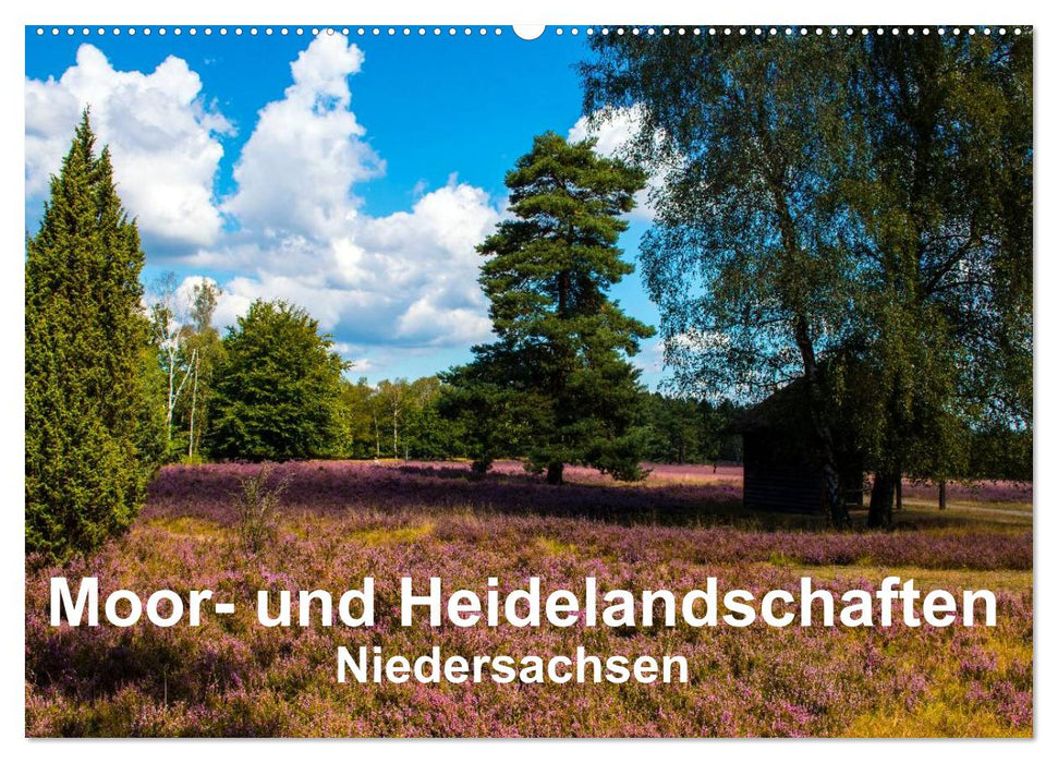 Moor- und Heidelandschaften Niedersachsen (CALVENDO Wandkalender 2024)