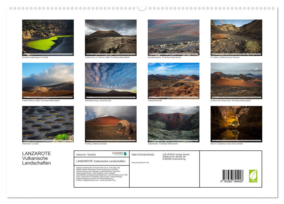 LANZAROTE Volcanic Landscapes (CALVENDO Premium Wall Calendar 2024) 