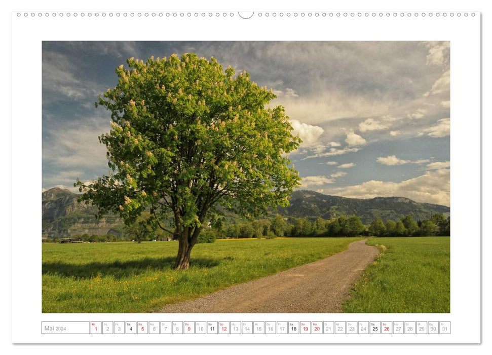 Melancholy Lake Constance 2024 (CALVENDO wall calendar 2024) 