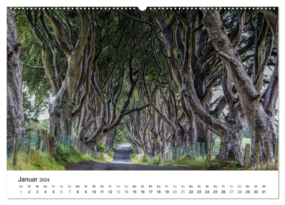 Ireland as if painted (CALVENDO Premium Wall Calendar 2024) 