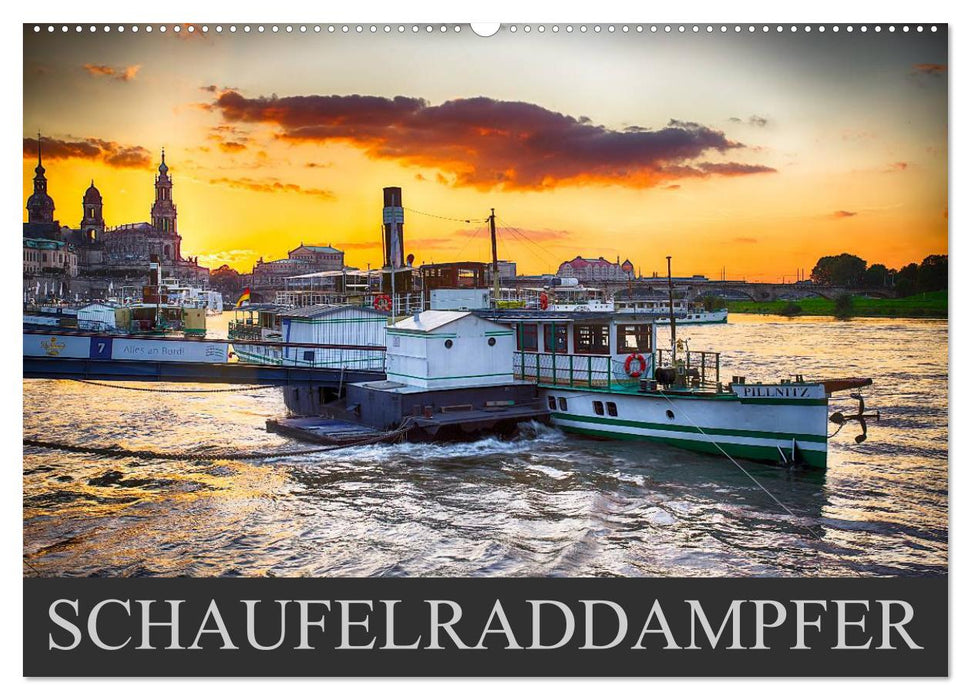 Paddle steamer (CALVENDO wall calendar 2024) 