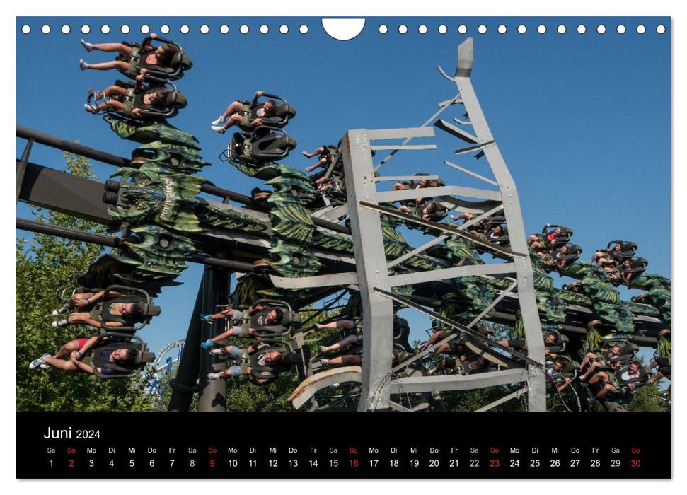 Made for Fear - The roller coaster calendar (CALVENDO wall calendar 2024) 