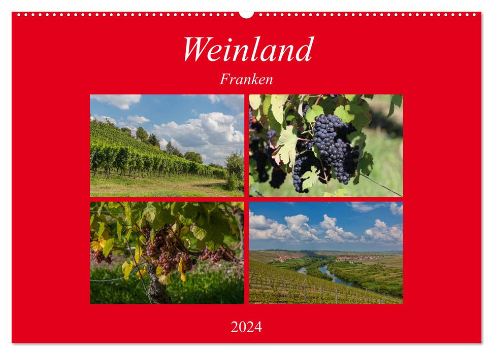 Wine country Franconia (CALVENDO wall calendar 2024) 