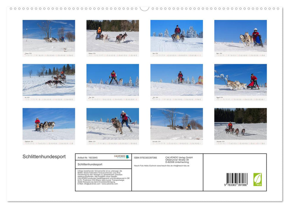 Sport de chiens de traîneau (Calendrier mural CALVENDO Premium 2024) 