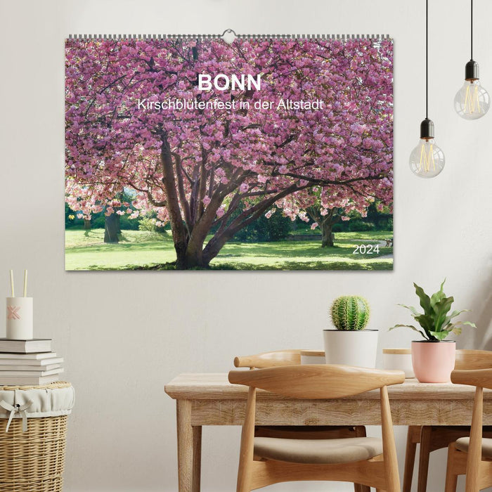 Bonn - Cherry Blossom Festival in the Old Town (CALVENDO Wall Calendar 2024) 