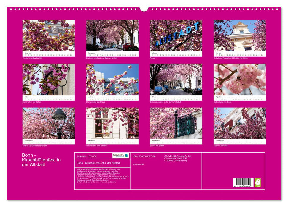 Bonn - Kirschblütenfest in der Altstadt (CALVENDO Wandkalender 2024)