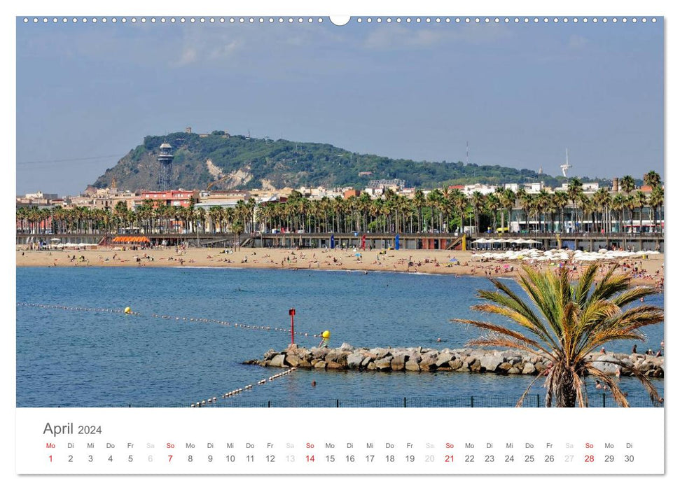 Barcelona in the eye of the camera (CALVENDO Premium Wall Calendar 2024) 