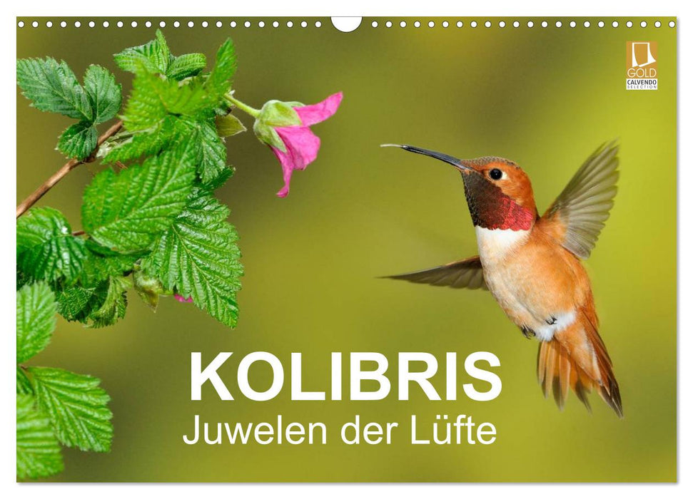 Kolibris - Juwelen der Lüfte (CALVENDO Wandkalender 2024)