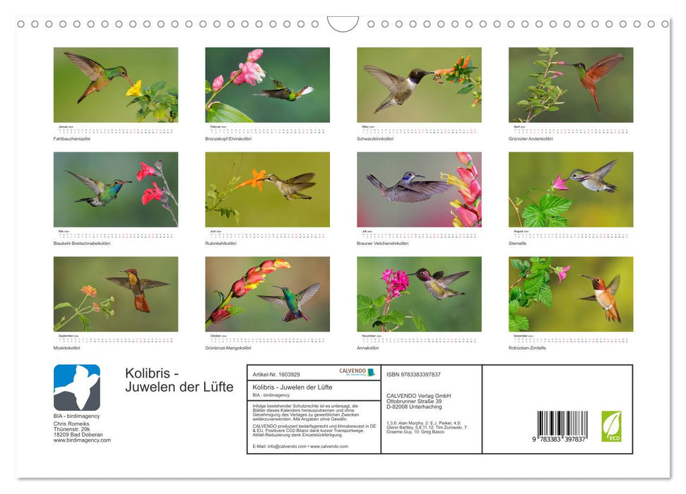 Hummingbirds - Jewels of the Air (CALVENDO Wall Calendar 2024) 