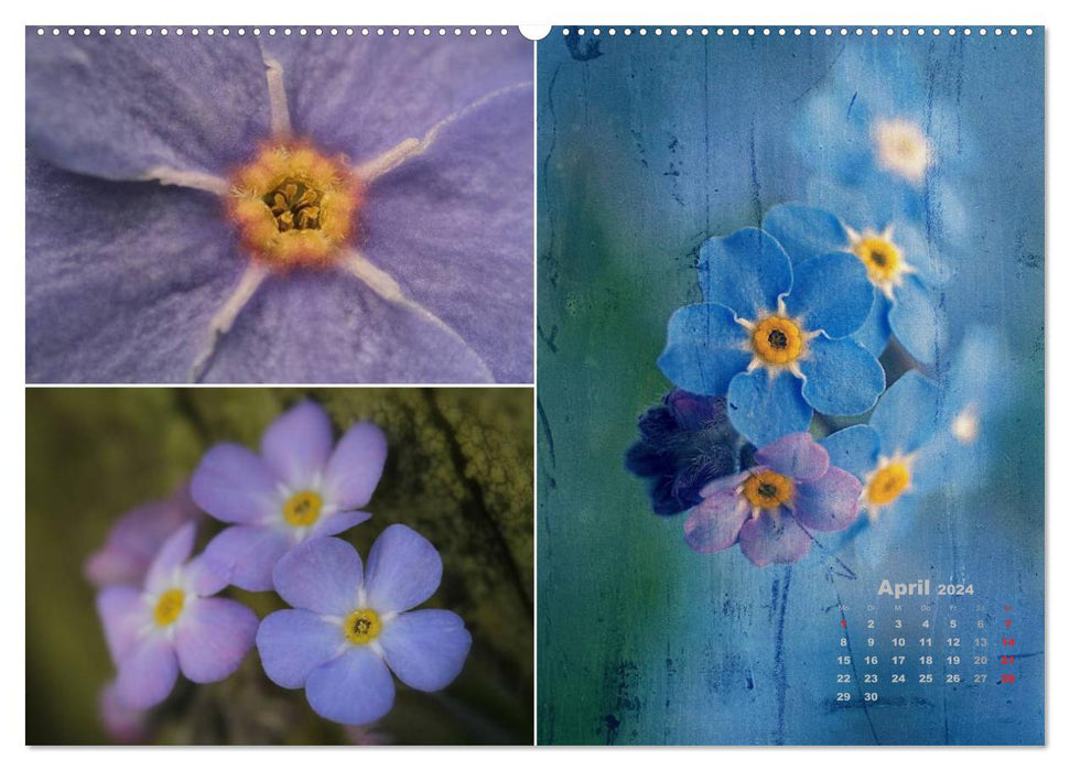 Flower journey 2024 (CALVENDO wall calendar 2024) 