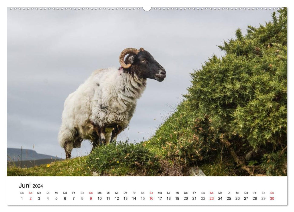 Ireland as if painted (CALVENDO wall calendar 2024) 