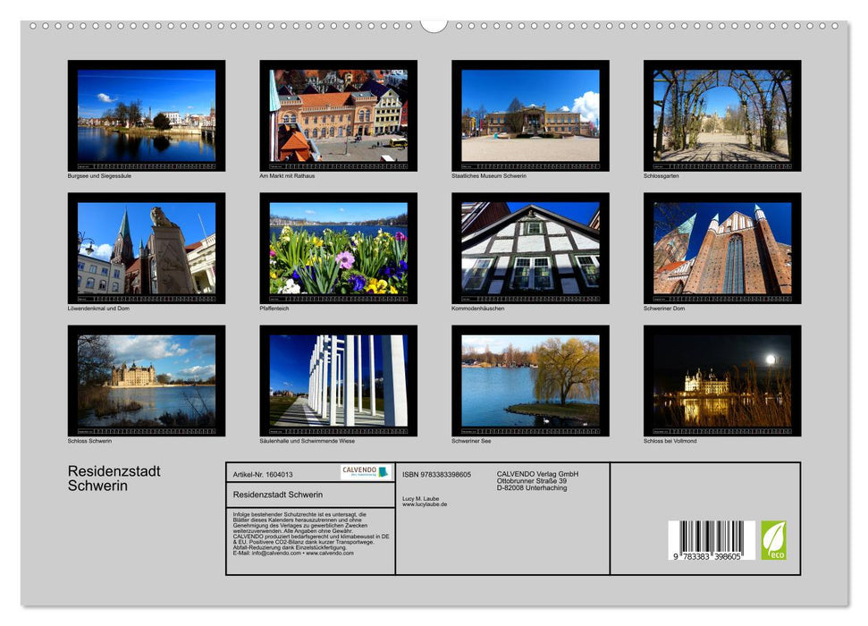 Residential City of Schwerin (CALVENDO Premium Wall Calendar 2024) 