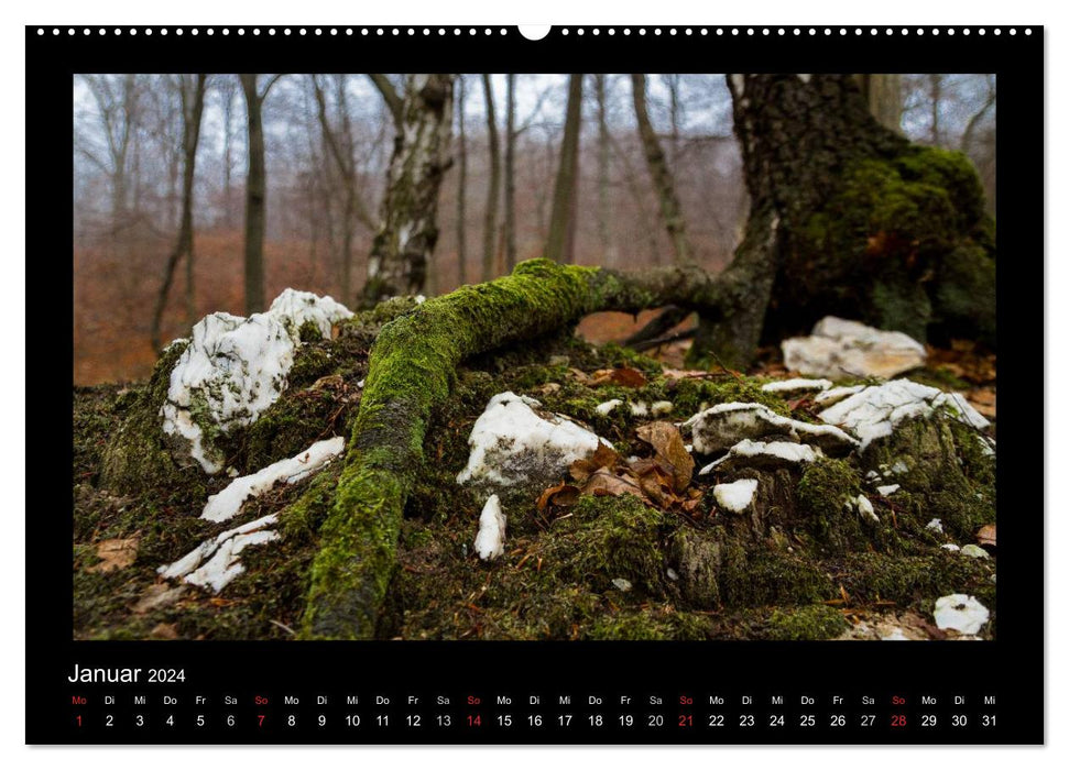 On the karst hiking trail in the southern Harz (CALVENDO wall calendar 2024) 
