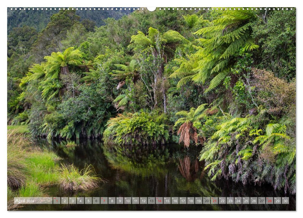 New Zealand - Wild Forests (CALVENDO Premium Wall Calendar 2024) 