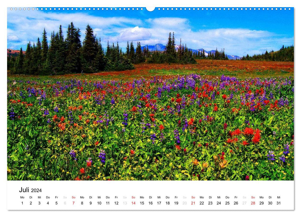 Canadian Landscapes 2024 (CALVENDO Premium Wall Calendar 2024) 