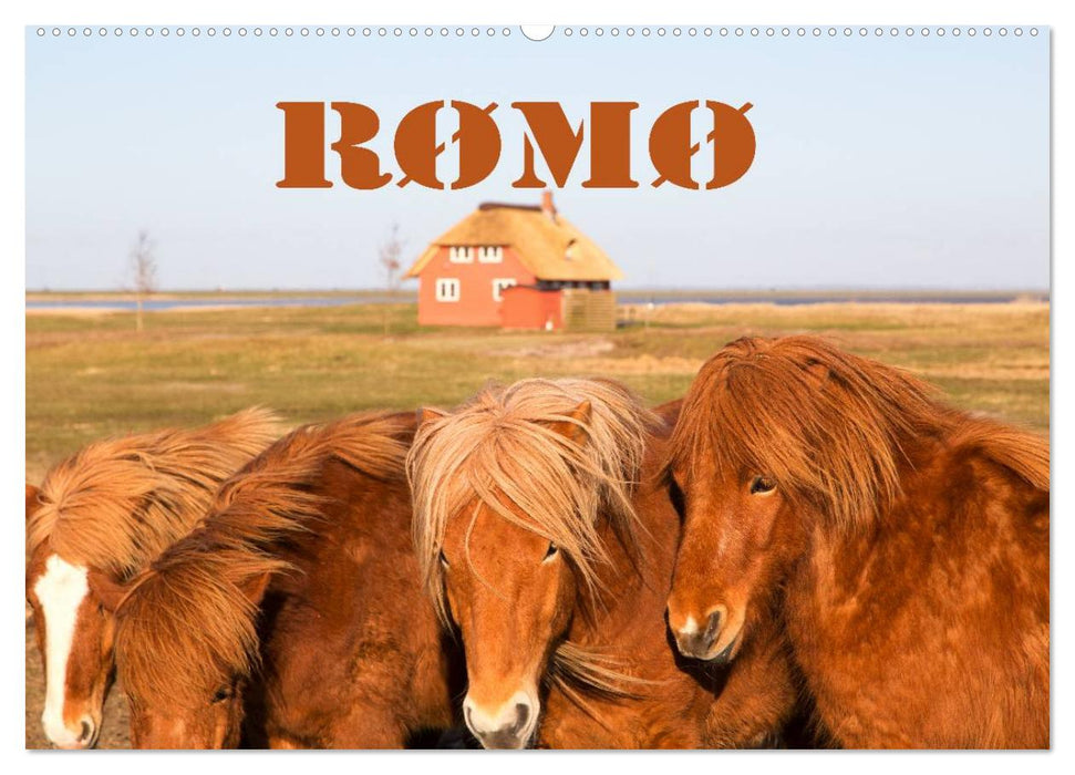 Rømø (CALVENDO Wandkalender 2024)