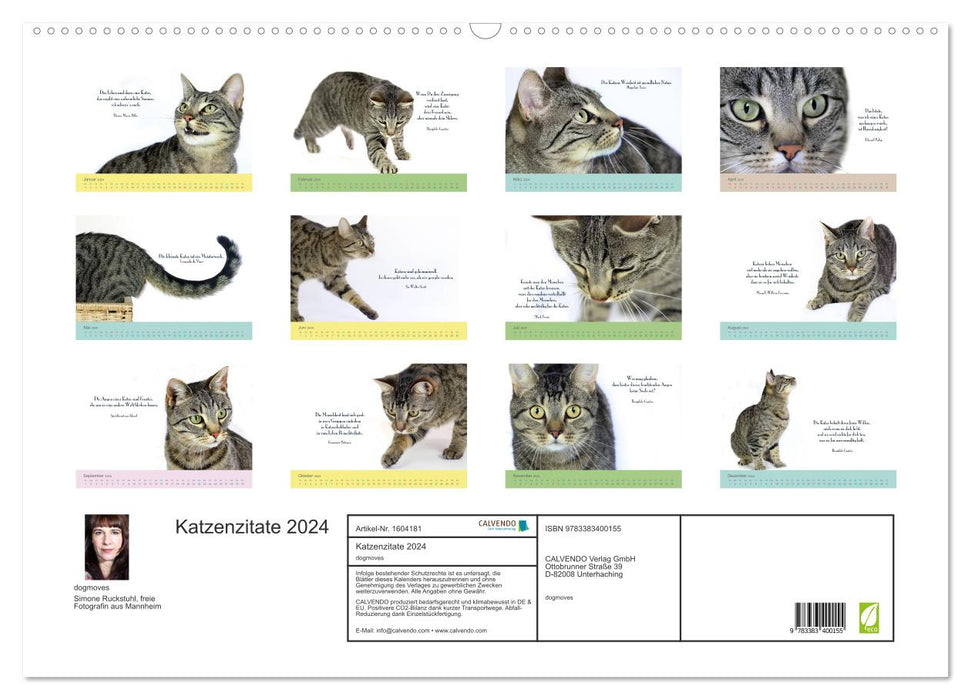 Katzenzitate 2024 (CALVENDO Wandkalender 2024)
