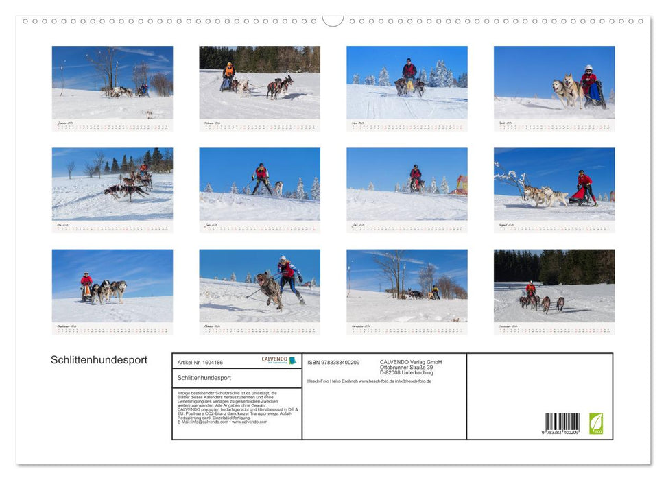 Schlittenhundesport (CALVENDO Wandkalender 2024)