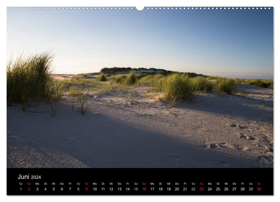 Amrumer Impressionen (CALVENDO Wandkalender 2024)