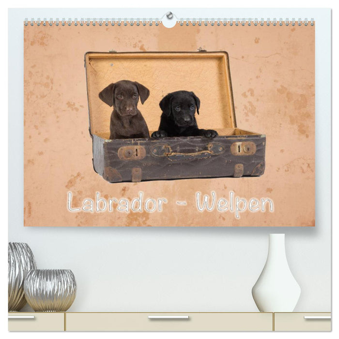 Labrador - Chiots (Calvendo Premium Calendrier mural 2024) 