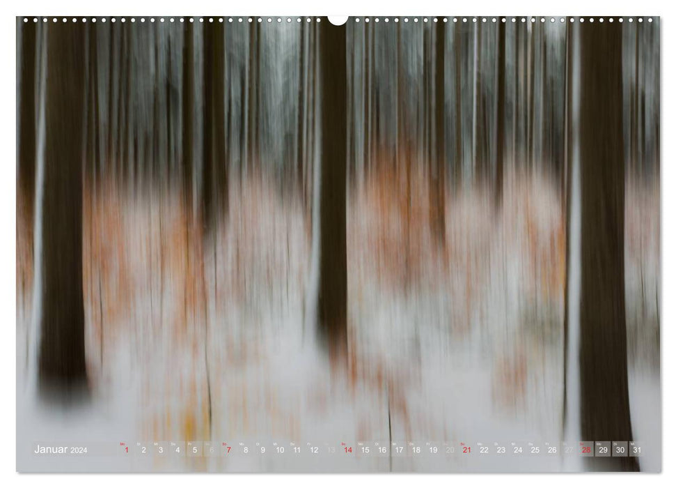 Atelier Wald - gemalt mit Licht (CALVENDO Wandkalender 2024)