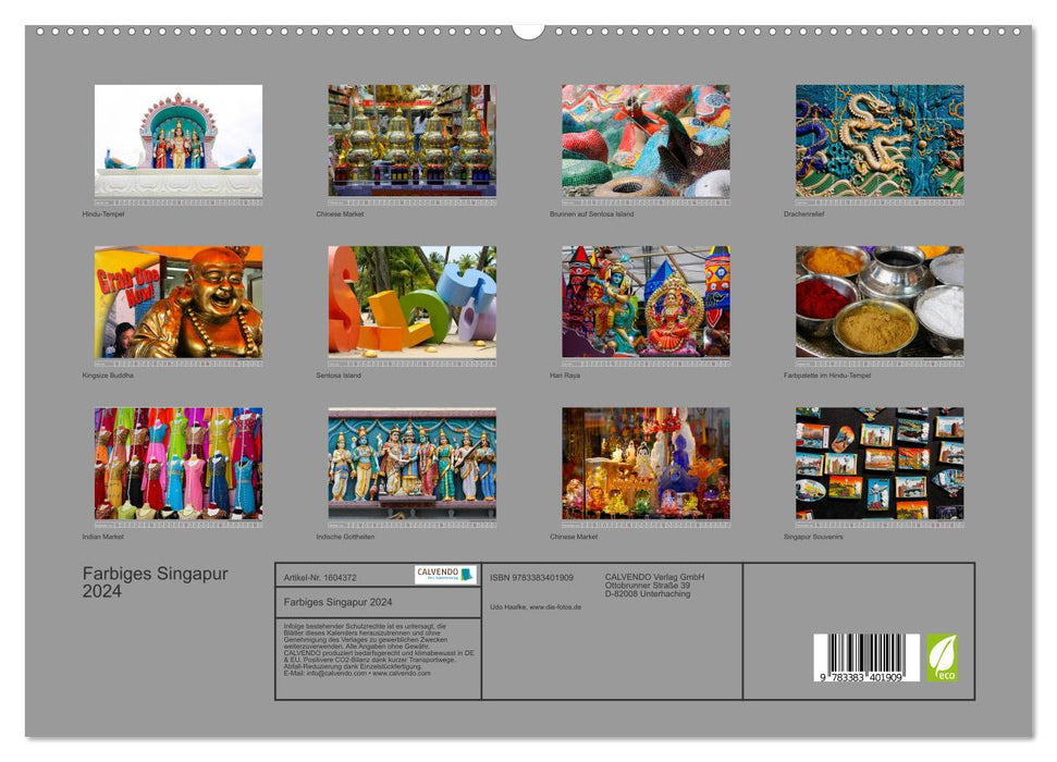 Farbiges Singapur (CALVENDO Premium Wandkalender 2024)