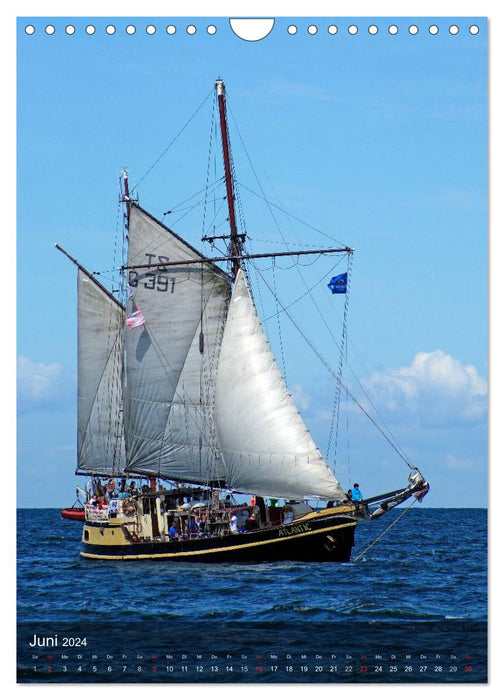 Schoner, Haikutter und Co. - Segelschiffe auf der Ostsee (CALVENDO Wandkalender 2024)