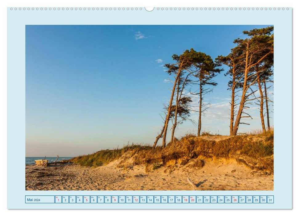 Fischland-Darß-Zingst (CALVENDO Wandkalender 2024)