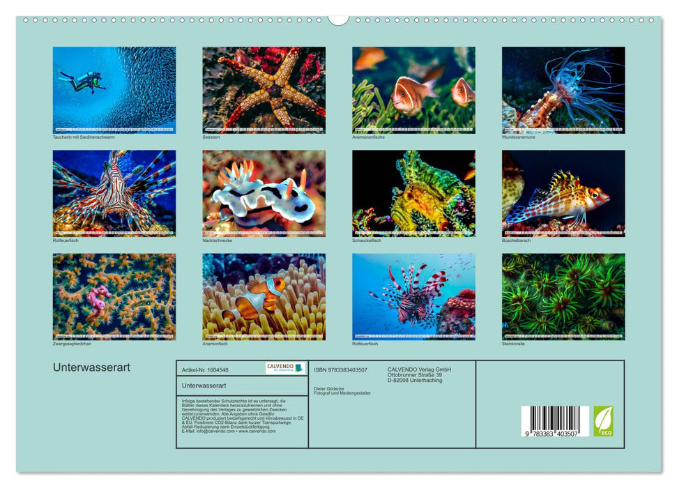 Unterwasserart (CALVENDO Premium Wandkalender 2024)