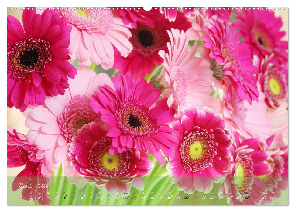 Blüten dicht an dicht (CALVENDO Premium Wandkalender 2024)
