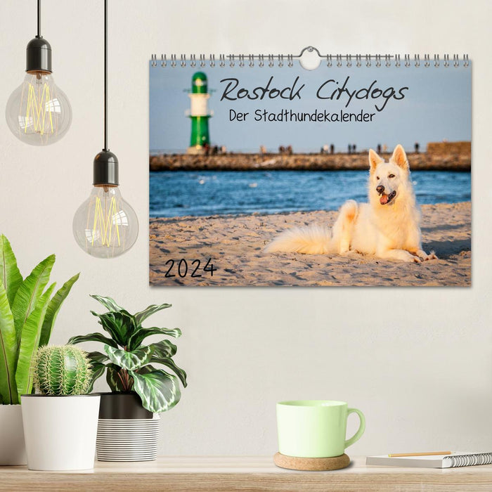 Rostock Citydogs - Der Stadthundekalender (CALVENDO Wandkalender 2024)