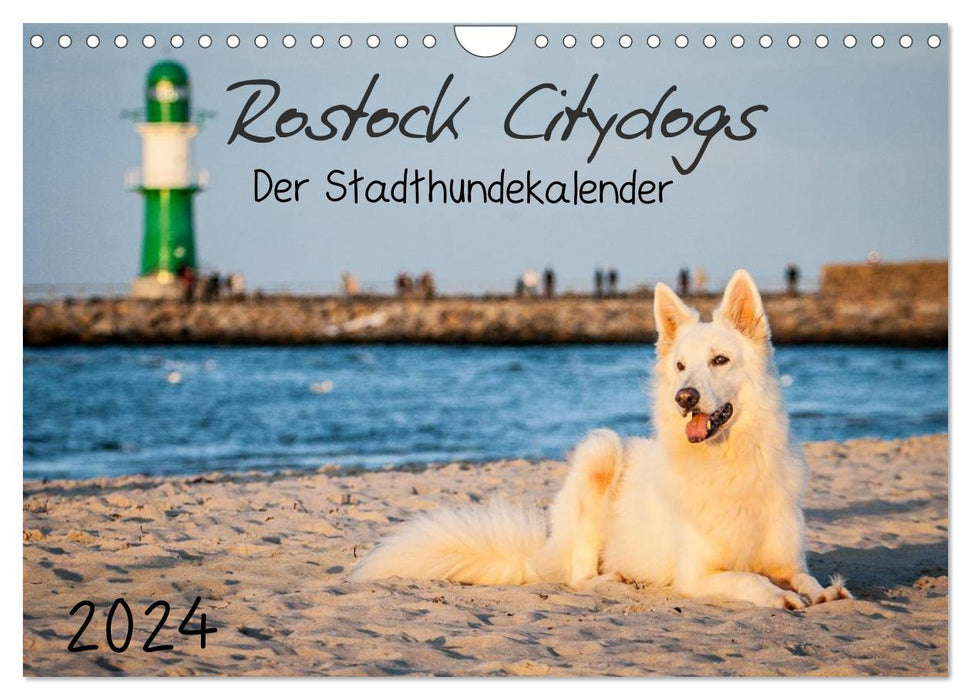 Rostock Citydogs - Der Stadthundekalender (CALVENDO Wandkalender 2024)