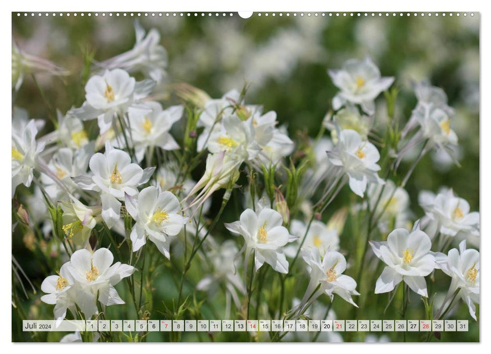 Blütentanz in Weiß (CALVENDO Premium Wandkalender 2024)