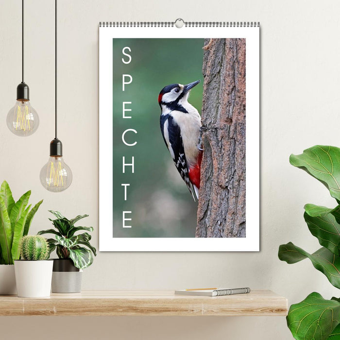 Woodpeckers (CALVENDO wall calendar 2024) 