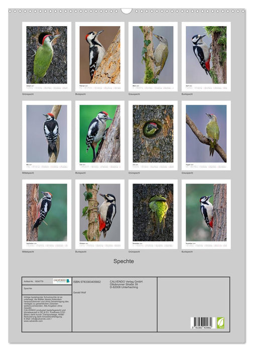 Woodpeckers (CALVENDO wall calendar 2024) 