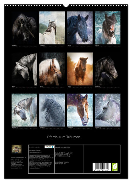 Mystische Pferde (CALVENDO Premium Wandkalender 2024)