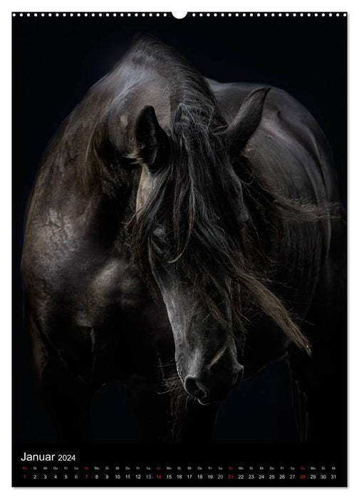 Chevaux mystiques (Calvendo Premium Wall Calendar 2024) 