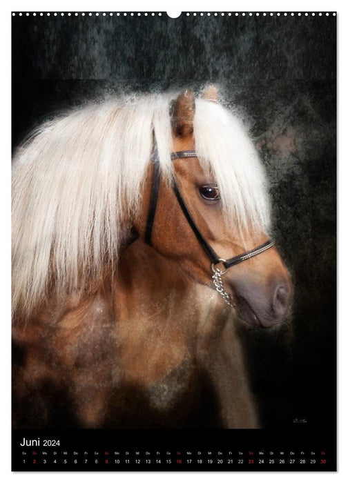 Chevaux mystiques (Calvendo Premium Wall Calendar 2024) 