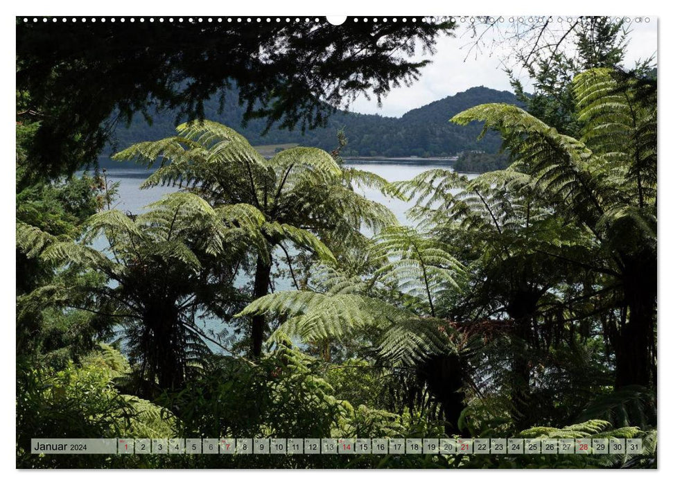 Primärwald - Neuseeland (CALVENDO Premium Wandkalender 2024)