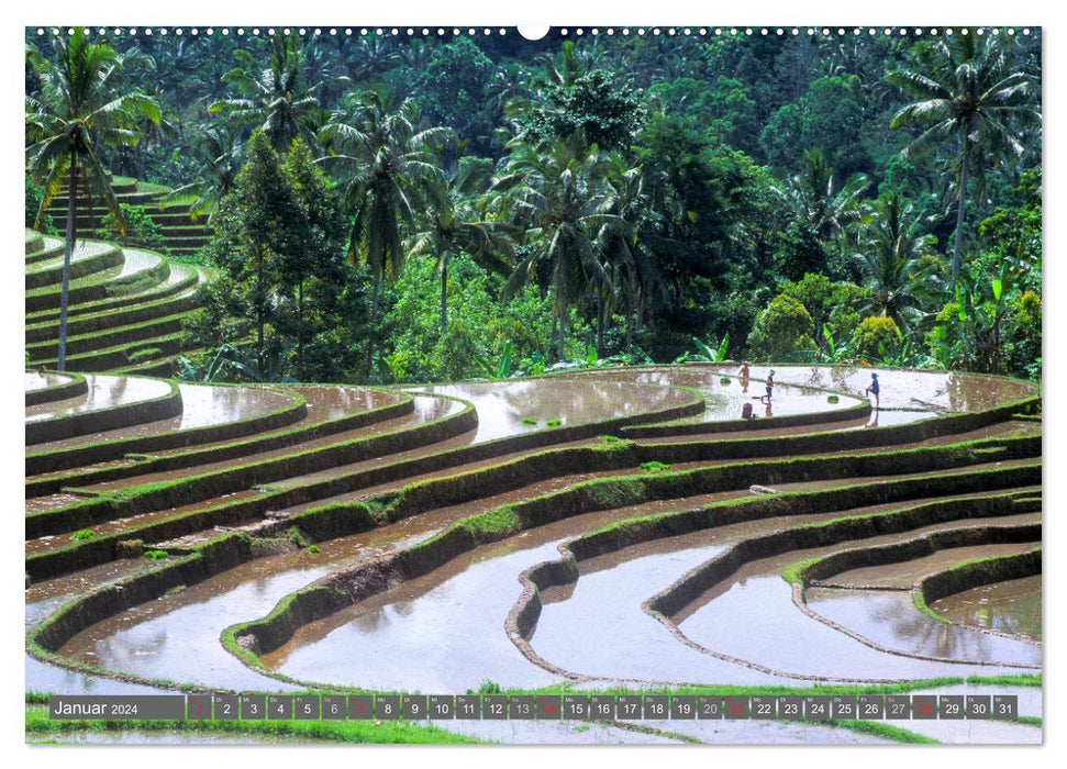 Peter Fischer - Bali 2024 (CALVENDO wall calendar 2024) 