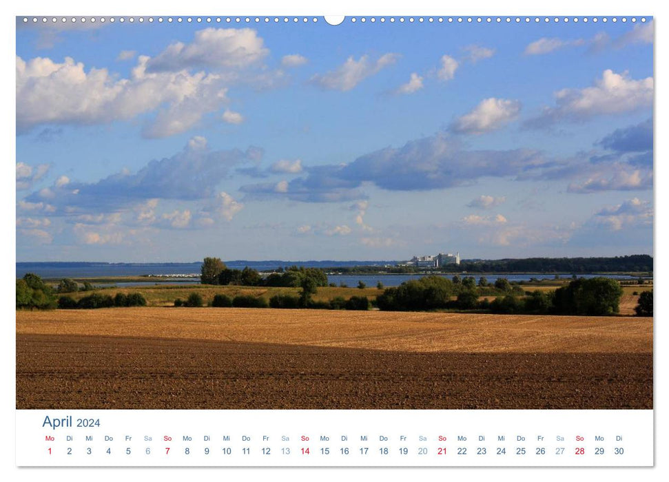 Schwansen 2024. Impressionen zwischen Schlei und Ostsee (CALVENDO Premium Wandkalender 2024)