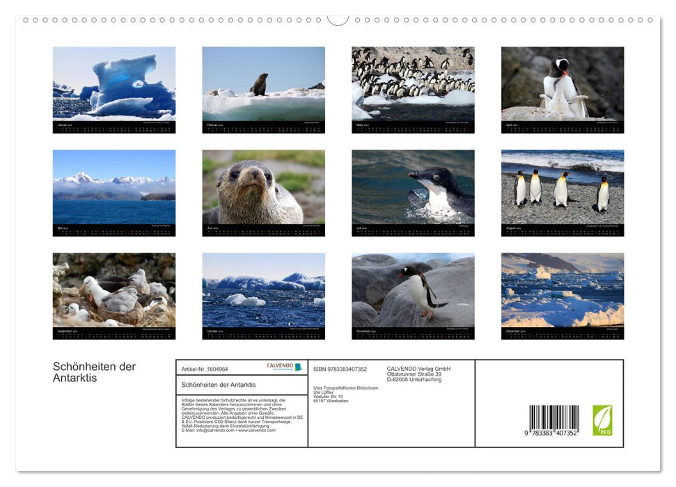 Beauties of Antarctica (CALVENDO Premium Wall Calendar 2024) 
