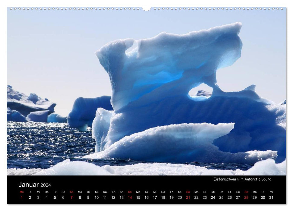 Beautés de l'Antarctique (Calendrier mural CALVENDO Premium 2024) 