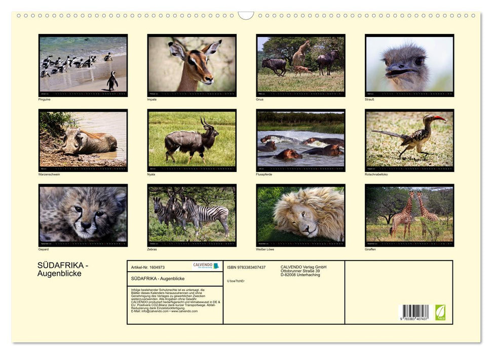 SOUTH AFRICA moments (CALVENDO wall calendar 2024) 