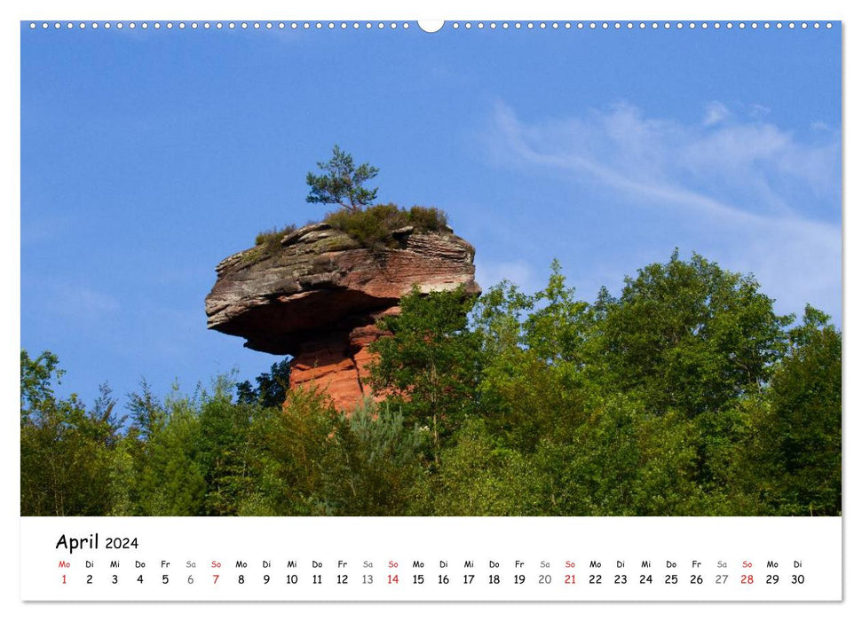 Naturschauplätze der Südpfalz (CALVENDO Premium Wandkalender 2024)