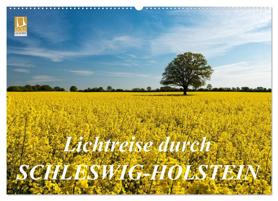 Lichtreise durch Schleswig-Holstein (CALVENDO Wandkalender 2024)