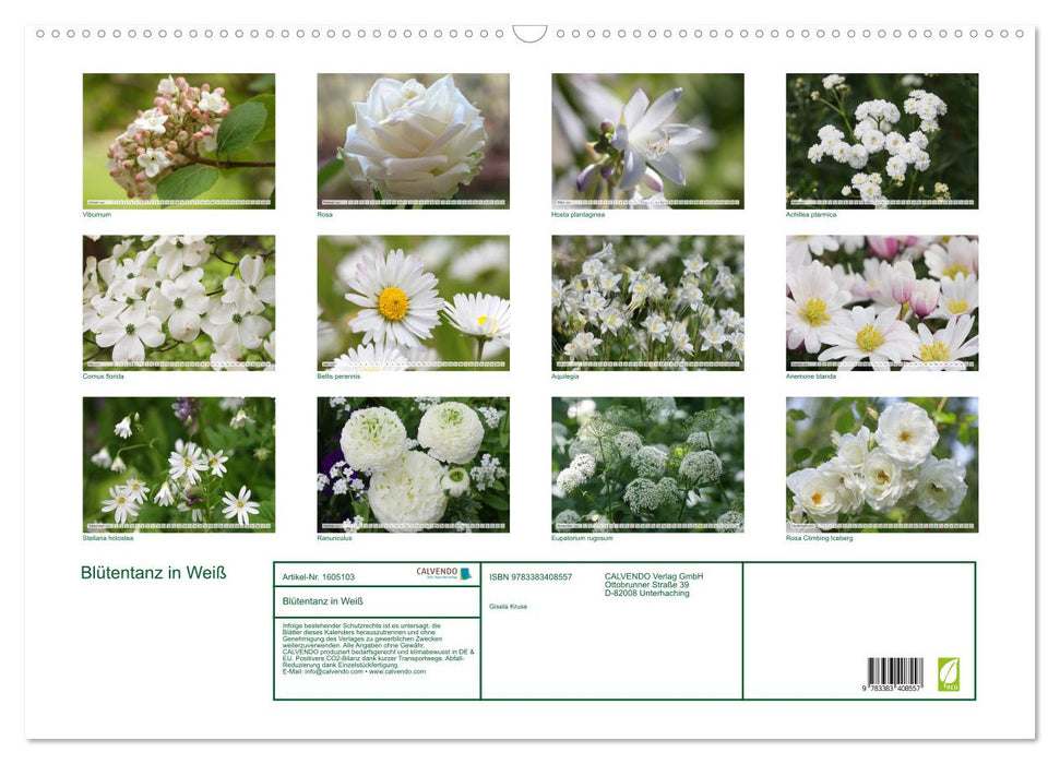 Blütentanz in Weiß (CALVENDO Wandkalender 2024)