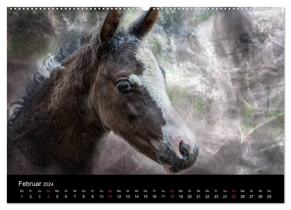 Pferde zum Träumen (CALVENDO Wandkalender 2024)