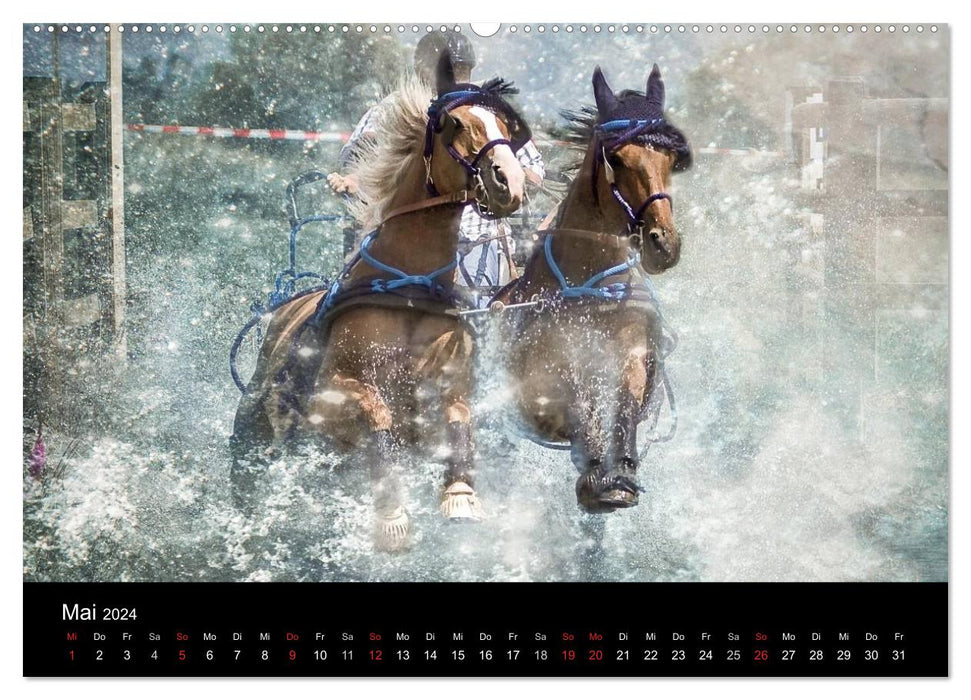 Pferde zum Träumen (CALVENDO Wandkalender 2024)