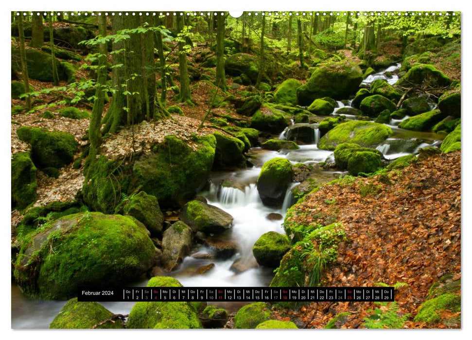 Streams, rivers, waterfalls - A Black Forest trip (CALVENDO Premium Wall Calendar 2024) 